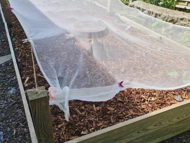 mesh cover