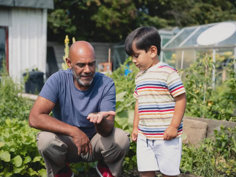 Get rid of bugs by hand picking them
