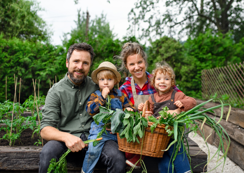starting a homestead