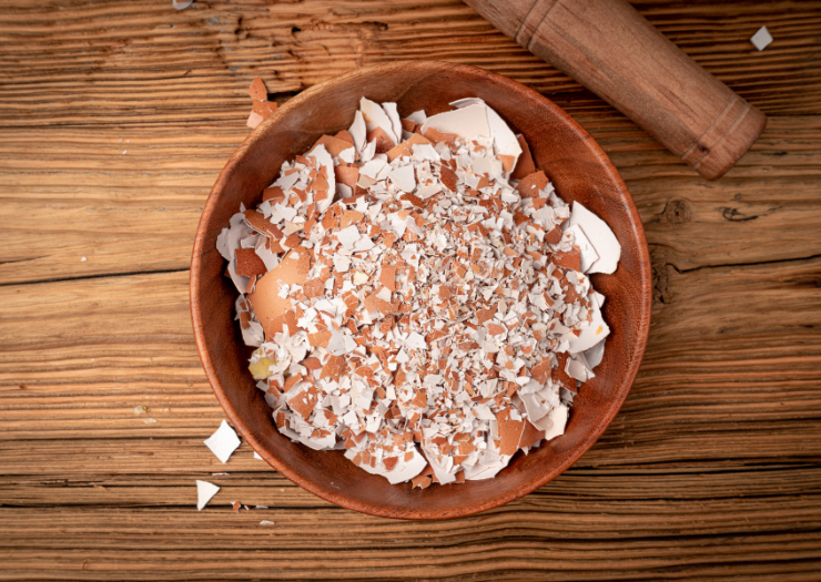 Crushed egg shells