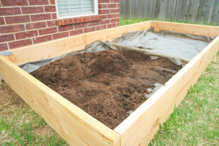 Raised Garden Bed Soil