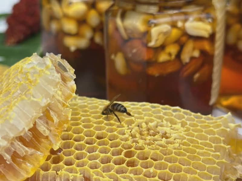 Raw Honey: One of the 5 Long-Lasting Foods