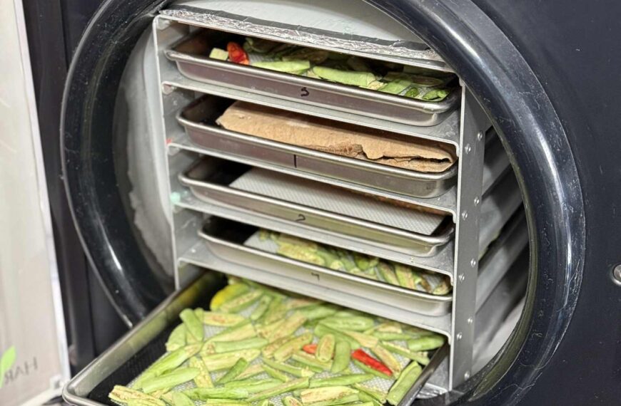 freeze dryer benefits