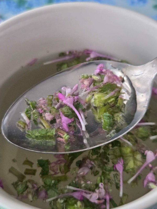 Spoon of Henbit