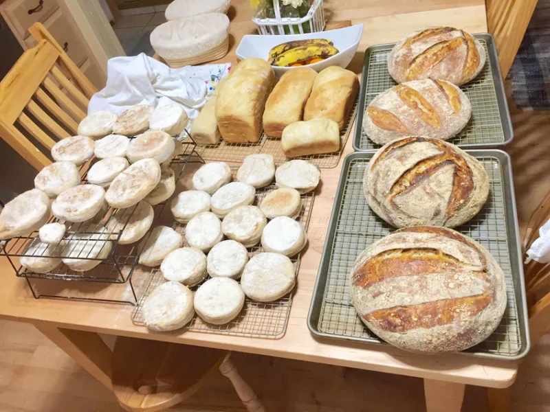 Barbara ONeill- Emma's Sourdough Starter Kit