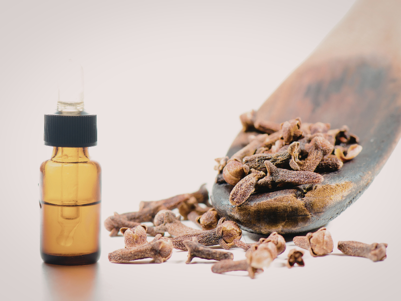clove oil