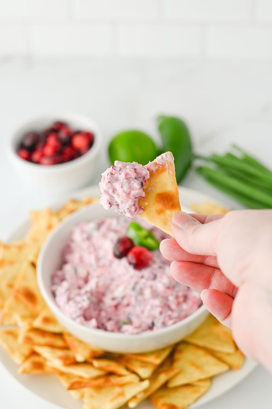 Cranberry Jalapeño Dip Featured Image