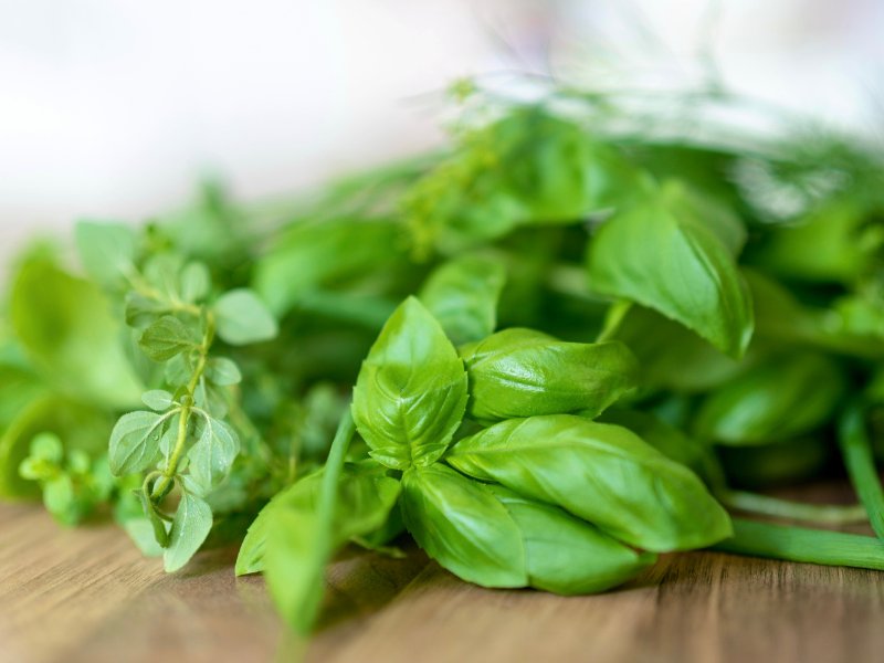 Fresh Spinach