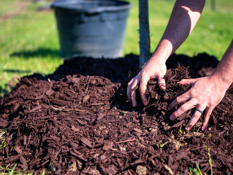 Mulch for raised garden bed