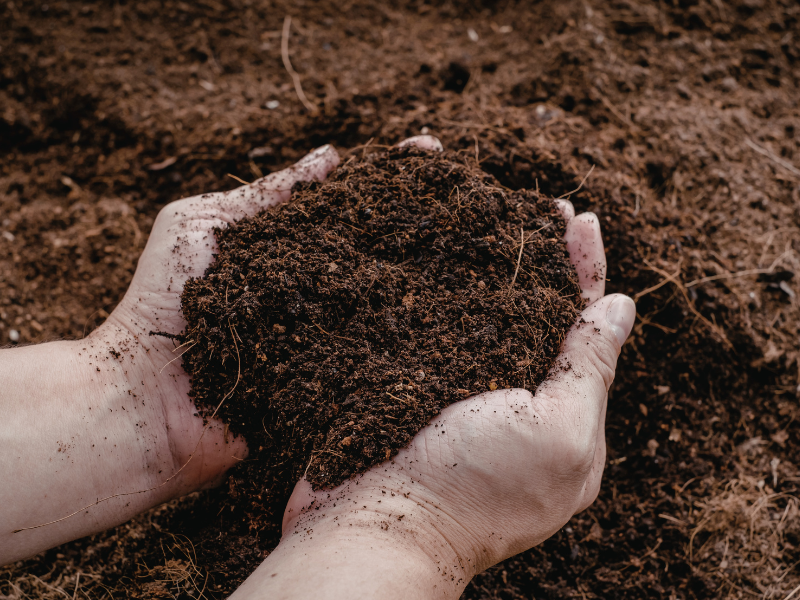 Soil for raised garden bed