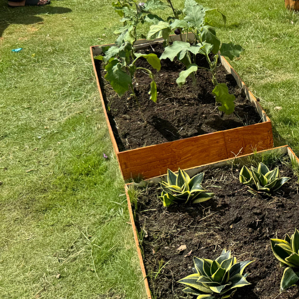 Boost Your Raised Garden Bed Naturally: Secrets to Health Soil