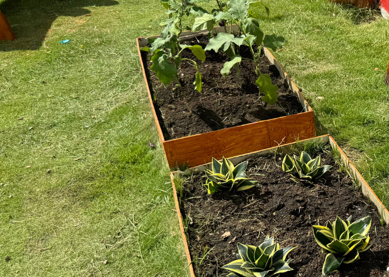 Raised Garden Bed