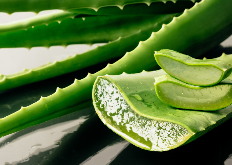 Aloe Vera