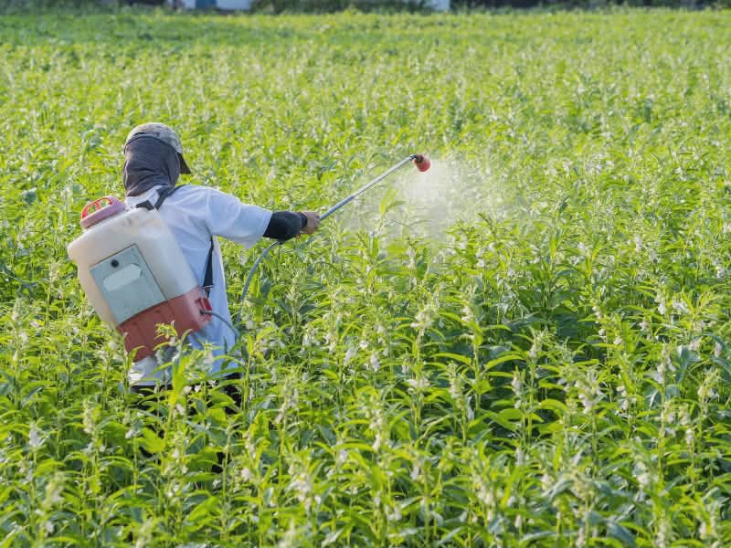 man spraying field in pesticides heavy metal toxins