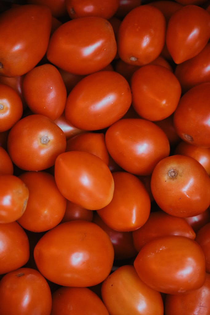 Close-up of vibrant red Romas