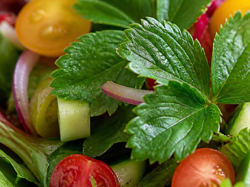 using strawberry leaf in salad