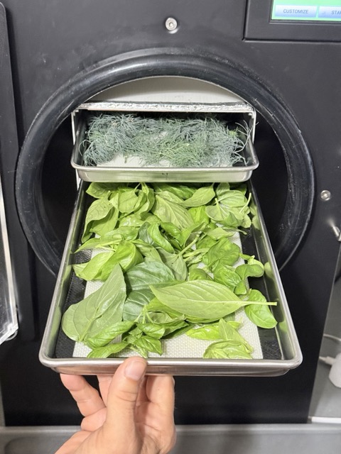 Freeze Dry Herbs