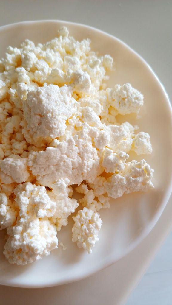 Fresh cottage cheese on a white plate